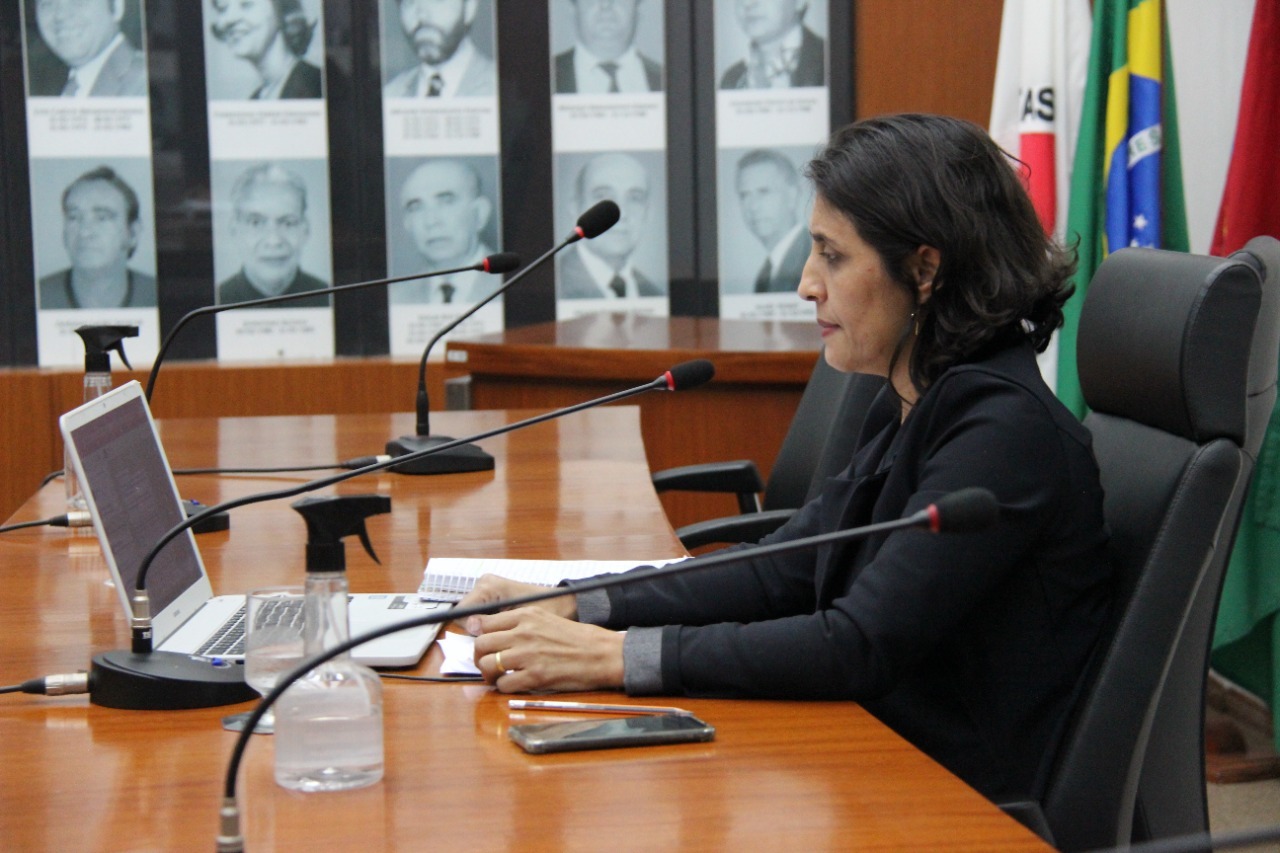 Audiência debate políticas públicas da Assistência Social em Ipatinga