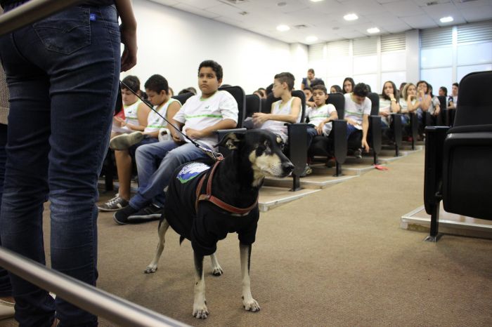 Vereadores mirins recebem visita especial da ONG Meu Amigo Cão